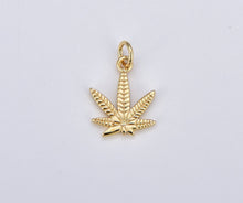 Load image into Gallery viewer, Mary Jane Necklace
